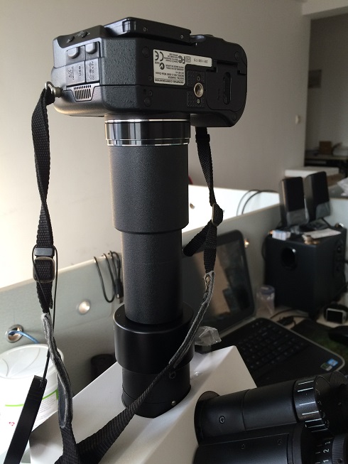 ˾пԺhֲ@@΢RC(j)ӿ